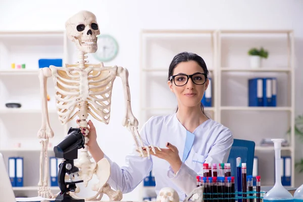 Jovem arqueóloga trabalhando no laboratório — Fotografia de Stock