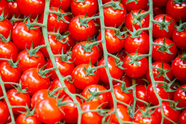 Tomates no mercado stall exibição — Fotografia de Stock