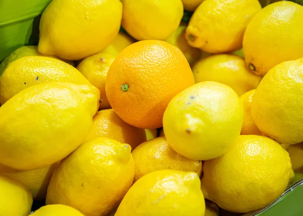 Citrus fruits at the market display stall — Stock Photo, Image