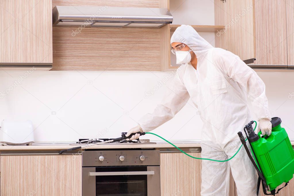 Professional contractor doing pest control at kitchen