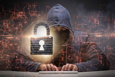 Siber güvenlik konseptinde genç bir hacker.
