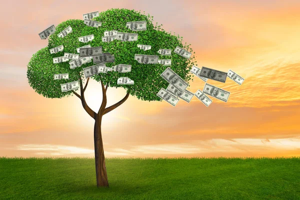 Дерево грошей у бізнес-концепції - 3d візуалізація — стокове фото