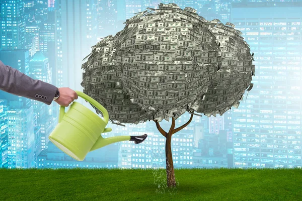 Empresario regando árbol de dinero en concepto de inversión — Foto de Stock