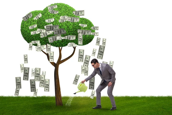 Empresario regando árbol de dinero en concepto de inversión —  Fotos de Stock