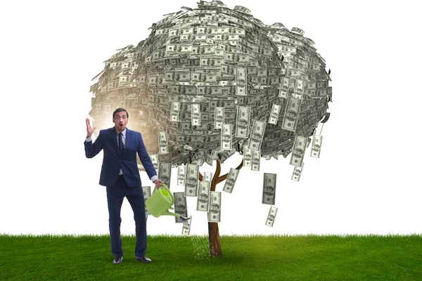 Uomo d'affari innaffiare albero di denaro nel concetto di investimento — Foto Stock