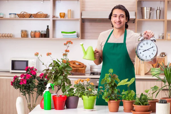 Genç yakışıklı adam evde çiçek yetiştiriyor. — Stok fotoğraf