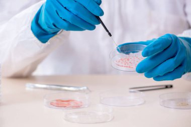 Laboratuvarda çalışan genç bir kimyager. 