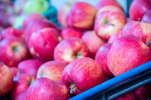 Pommes au stand d'affichage du marché — Photo