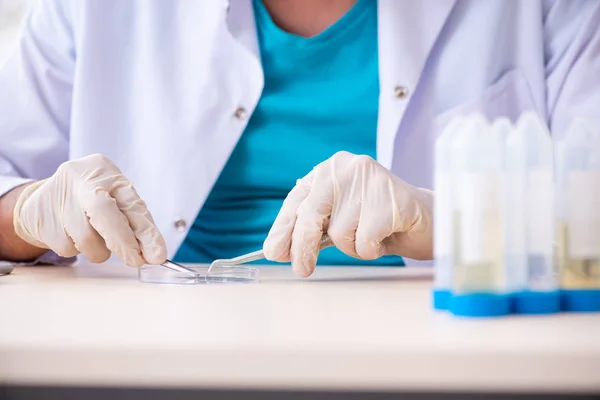 Joven químico masculino trabajando en el laboratorio — Foto de Stock