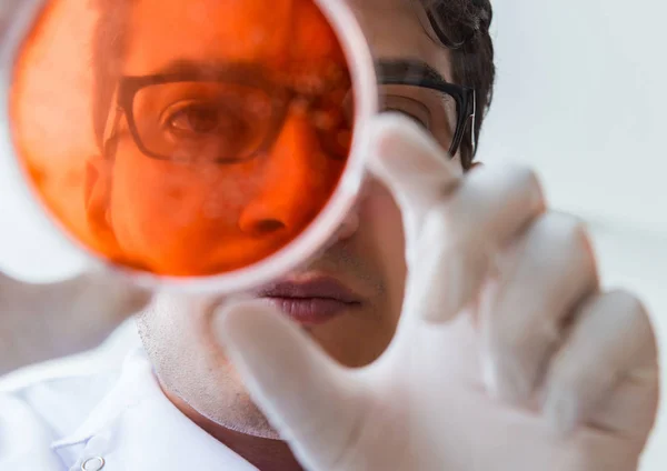 Химик, работающий в лаборатории с опасными химикатами — стоковое фото