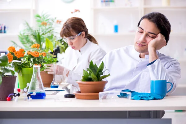Dos jóvenes botánicos trabajando en el laboratorio —  Fotos de Stock