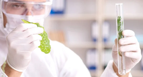 Biotechnology scientist chemist working in lab — Stock Photo, Image