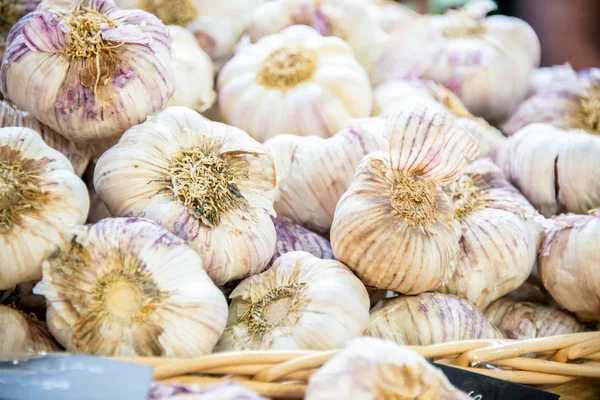 Vitlök på marknaden display stall — Stockfoto