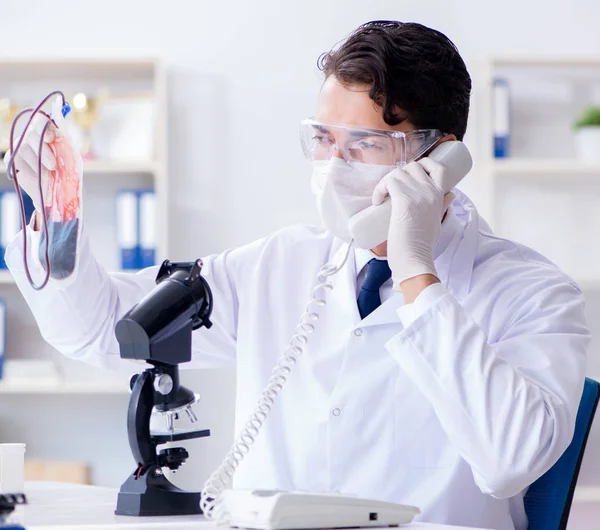 Medico che lavora con campioni di sangue nel laboratorio della clinica ospedaliera — Foto Stock