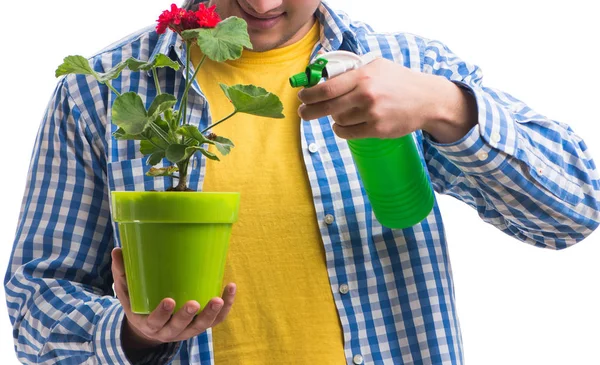 Junger Mann mit Blumentopf isoliert auf Weiß — Stockfoto