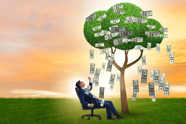 Бізнесмен з грошовим деревом у бізнес-концепції — стокове фото