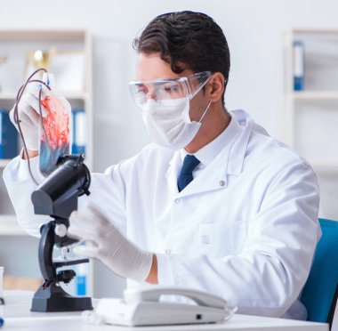 Hastane kliniğinde kan örnekleriyle çalışan bir doktor.