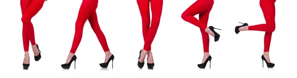 Pernas de mulher em meias longas — Fotografia de Stock