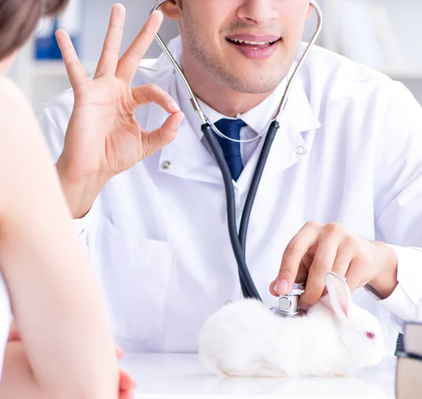 Tavşan besleyen kadın veteriner doktoru ziyaret ediyor. — Stok fotoğraf