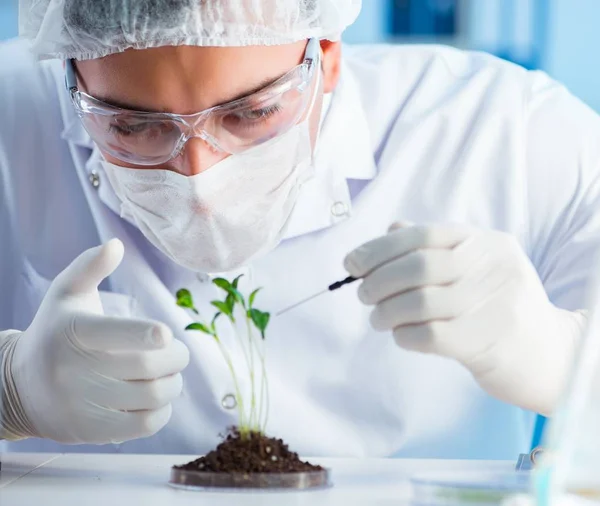 Conceito de biotecnologia com cientista em laboratório — Fotografia de Stock