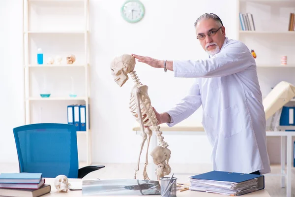 İskeleti olan yaşlı erkek doktor. — Stok fotoğraf