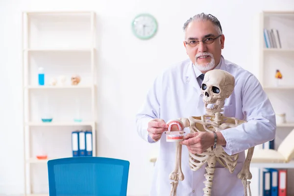 Aged male doctor with skeleton — Stock Photo, Image