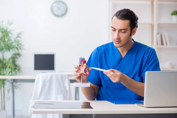 Mladý mužský lékař pracující na klinice — Stock fotografie