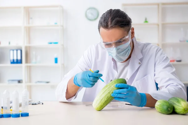 Mężczyzna żywienie ekspert badania warzyw w laboratorium — Zdjęcie stockowe