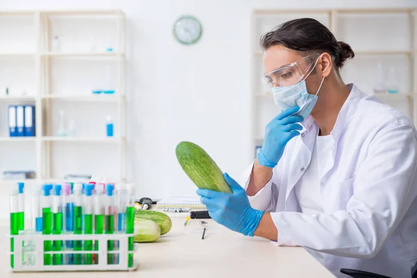 Experto en nutrición masculina prueba de verduras en laboratorio —  Fotos de Stock