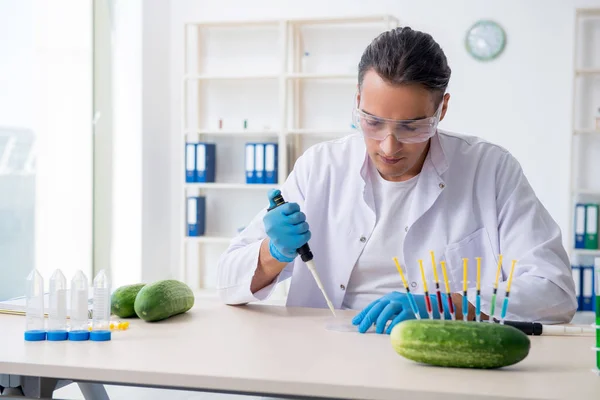 Mannelijke voeding expert testen van groenten in het lab — Stockfoto