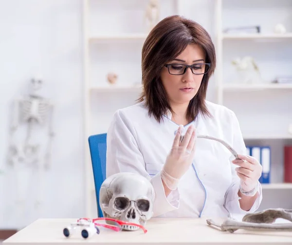 Arzt arbeitet im Labor am Skelett — Stockfoto