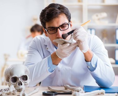 Profesör laboratuvarda insan iskeletini inceliyor.