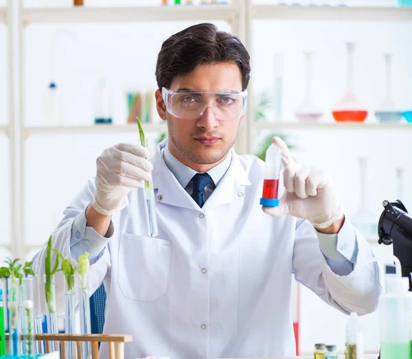 Bioquímico masculino trabalhando no laboratório em plantas — Fotografia de Stock