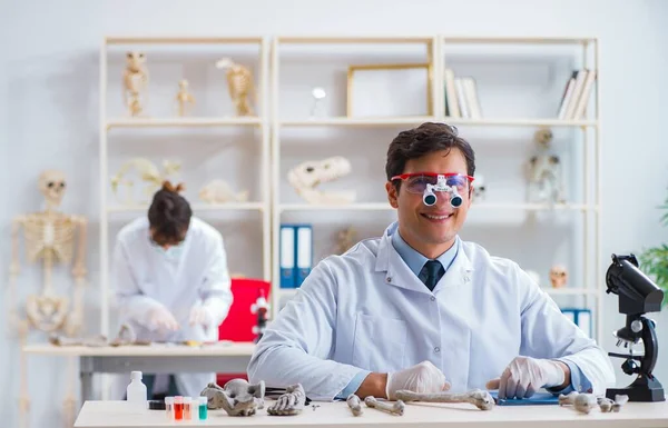 Profesor estudiando esqueleto humano en laboratorio —  Fotos de Stock