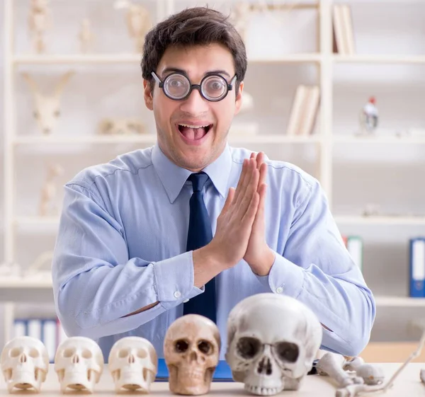 Profesor loco divertido estudiando esqueleto humano — Foto de Stock