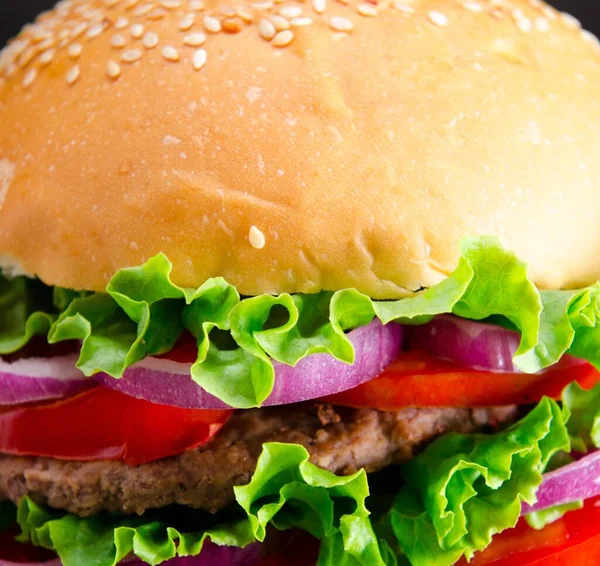 햄버거는 패스트푸드의 영양 공급에 사용되었다 — 스톡 사진