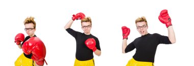 Beyaz arka planda izole edilmiş komik boksör