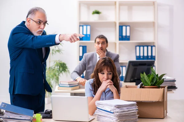 Two male and one female employees working in the office — Stock Photo, Image