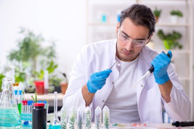 Laboratuvarda çalışan genç bir kimyager.