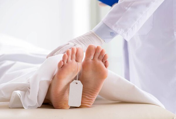 Police coroner examining dead body corpse in morgue