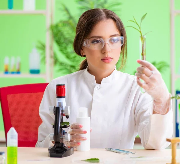 Bela mulher biotecnologia cientista químico trabalhando em laboratório — Fotografia de Stock