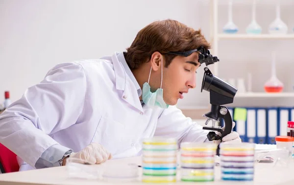 Giovane chimico che lavora in laboratorio — Foto Stock