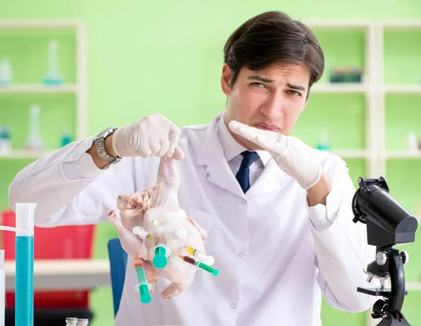 Assistente de laboratório teste de frango transgênico — Fotografia de Stock