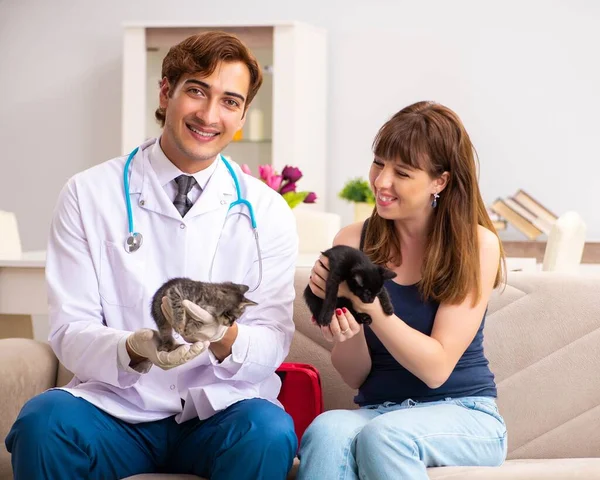 Médico veterinario visitando gatitos enfermos en casa — Foto de Stock