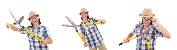 Смішний хлопець з садовими ножицями на білому — стокове фото