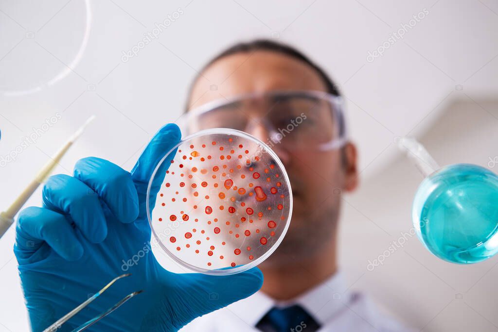 Young male chemist working in the lab