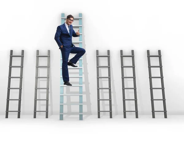 Career progression concept with various ladders — Stock Photo, Image