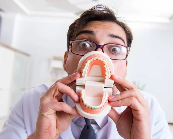 Divertente dentista con modello di denti in ospedale — Foto Stock