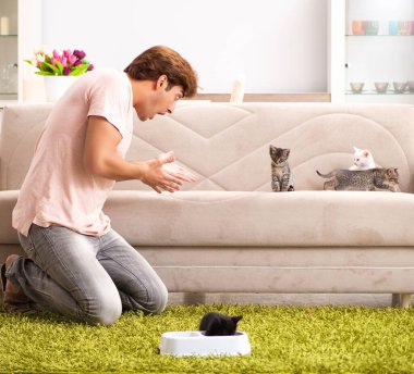 Genç adam evde kedi yavrusuyla oynuyor.