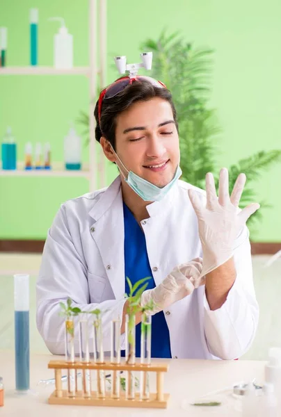 Joven biotecnólogo químico trabajando en laboratorio — Foto de Stock